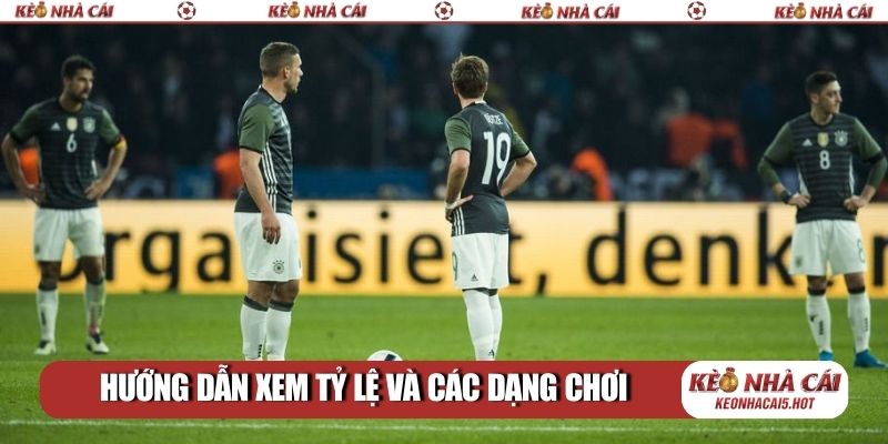 Hướng dẫn xem tỷ lệ và các dạng chơi