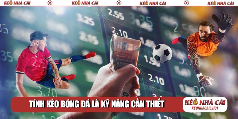 Tính kèo bóng đá là kỹ năng cần thiết